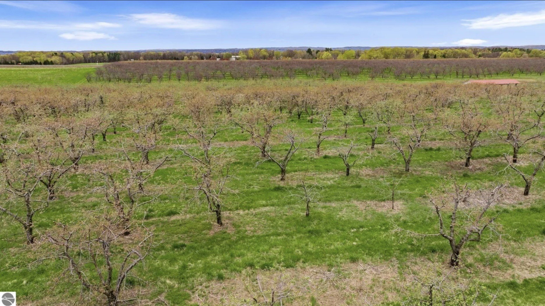Cherry farm in Traverse City, MI